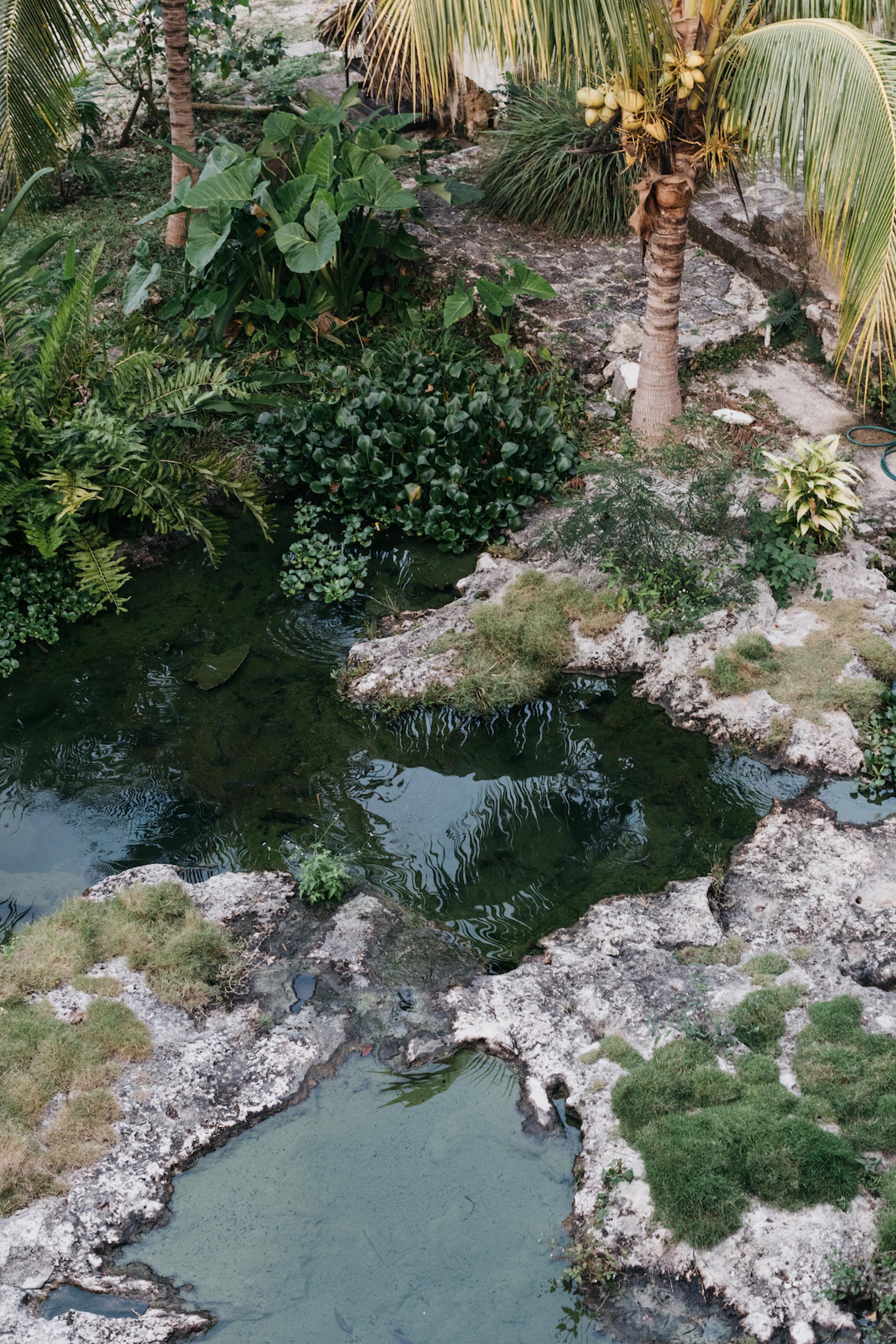 Coqui Coqui Papholchac Coba Residence & Spa Exterior photo